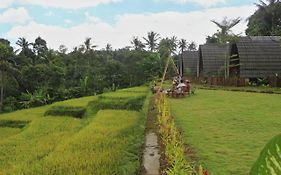 Omah Bapak Ijen Eco House